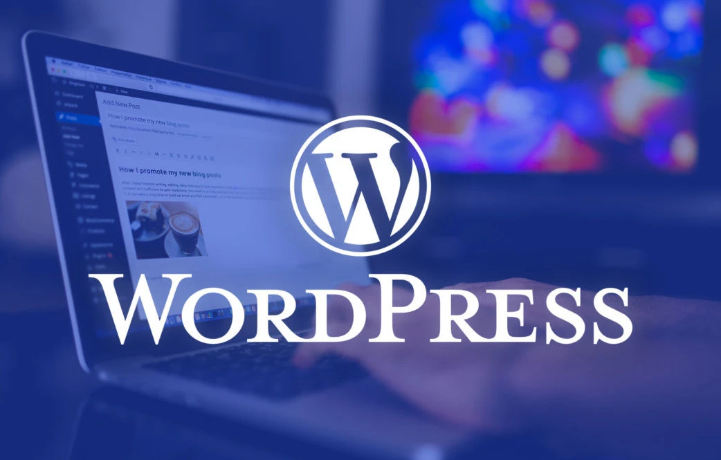 Özel yazılım site mi daha iyi WordPress site mi ?